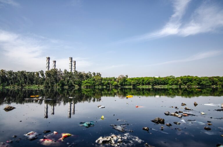 Water Pollution: Types, Impacts on the Environment and Solutions