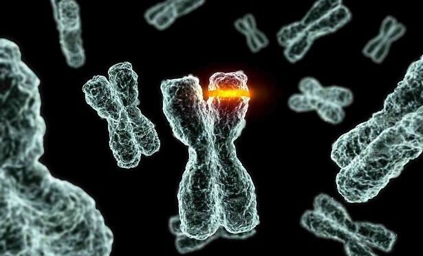 Gene Mutations And Their Levels