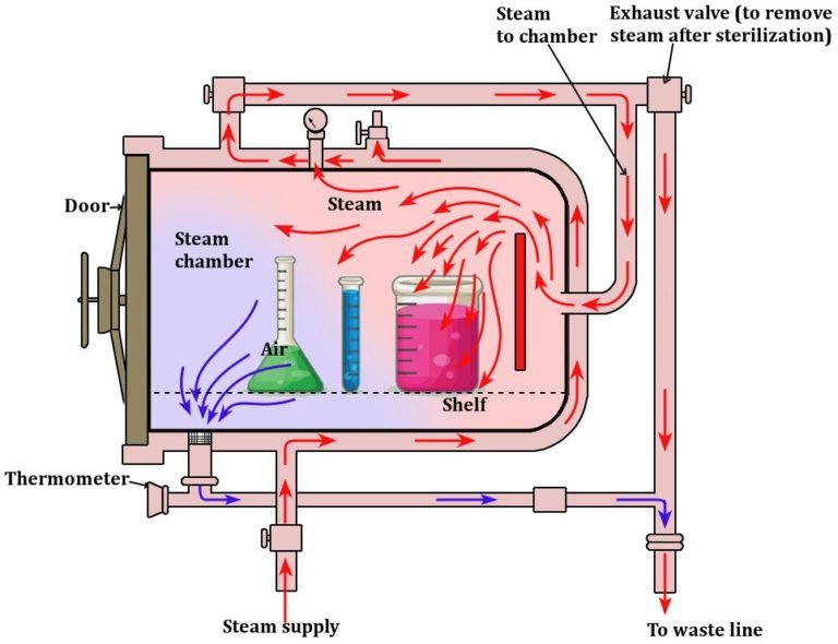 Autoclave Functions and How to Use It Sinaumedia