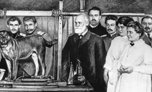 Classical Conditioning Theory – Pavlov's Learning Theory