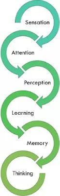 Difference Between Psychology and Sociology