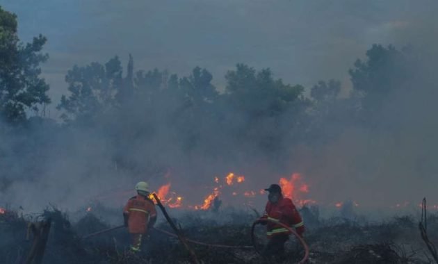 Causes and Impacts of Forest Fires