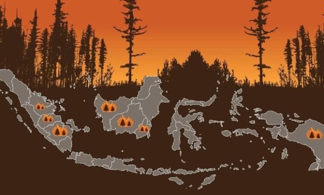 Forest fires in indonesia