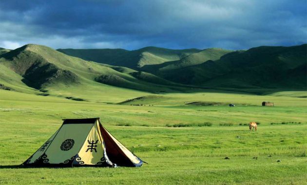 mongolian-Manchurian-Plain-grassland