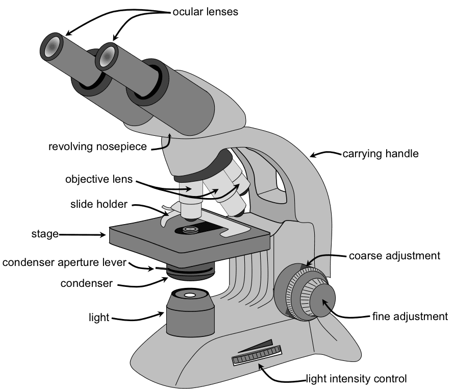 All parts of the microscope and their functions