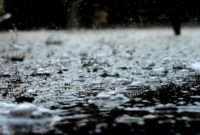 Rainwater contains a lot of microscopic material that needs to be filtered