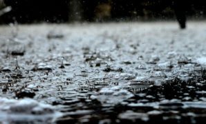 Rainwater contains a lot of microscopic material that needs to be filtered