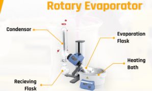 Rotary Evaporator : Working Principle, Use and Function