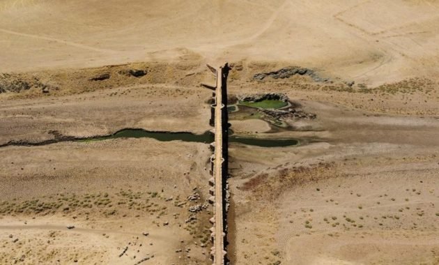 The Earth is getting hotter, Humans are in danger of Mass Extinction