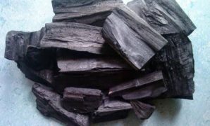 The Function of Charcoal in Water Purification