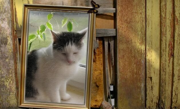 Social constructionism