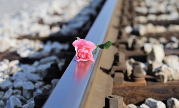 Behavioral economics