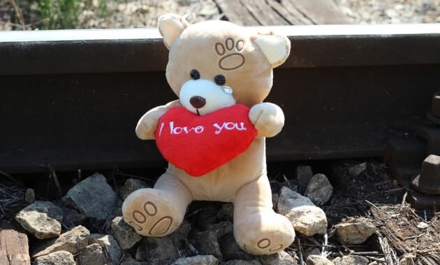 Environmental sociology