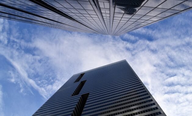 Cultural anthropology