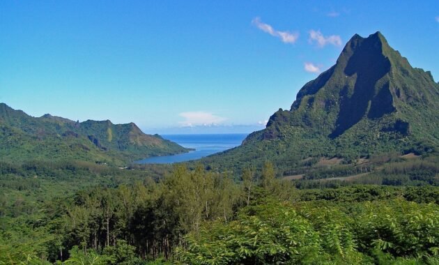 Social stratification