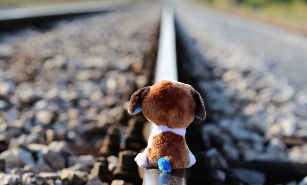 Behavioral economics