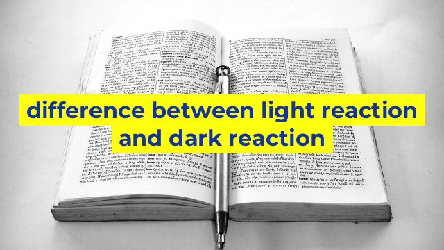 difference between light reaction and dark reaction