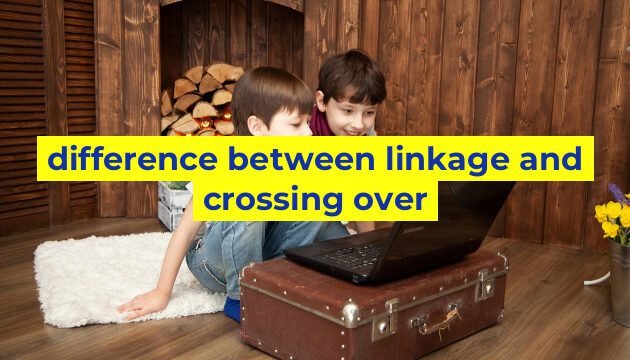 difference between linkage and crossing over
