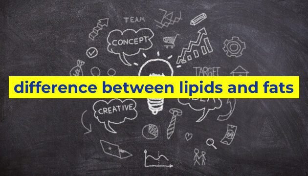 difference between lipids and fats