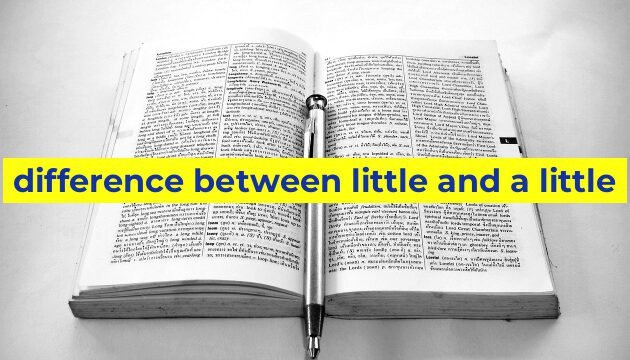 difference between little and a little