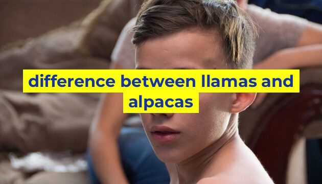 difference between llamas and alpacas