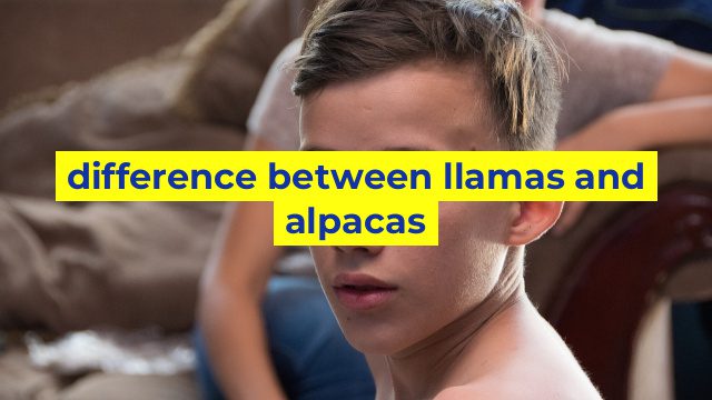 difference between llamas and alpacas