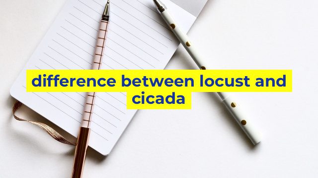 difference between locust and cicada