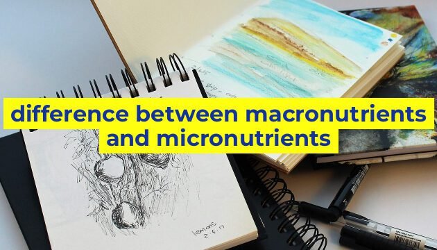 difference between macronutrients and micronutrients