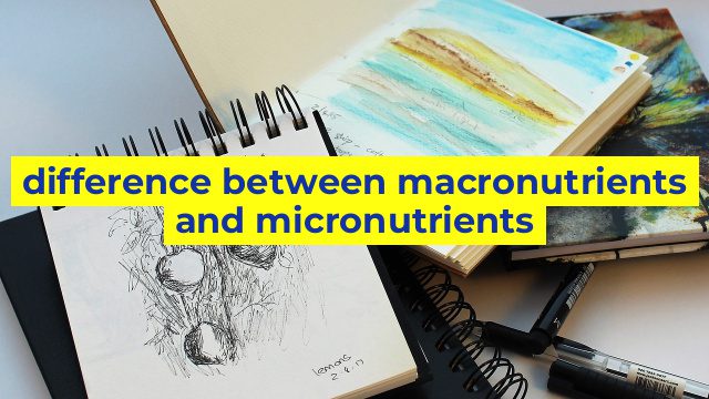 difference between macronutrients and micronutrients