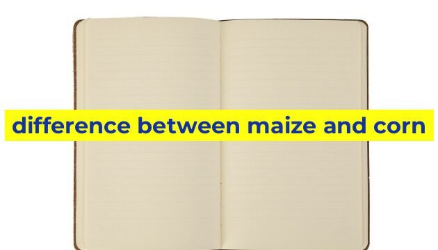 difference between maize and corn