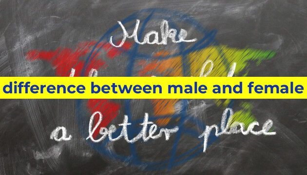 difference between male and female