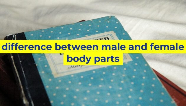 difference between male and female body parts