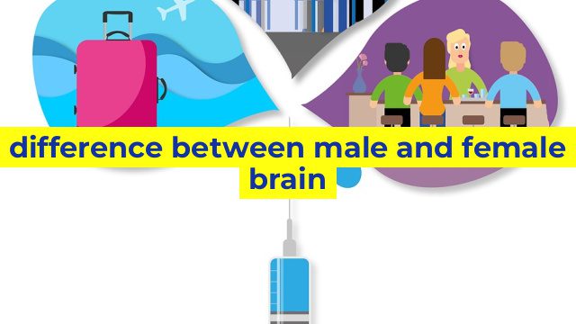 difference between male and female brain