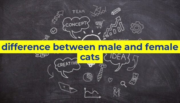 difference between male and female cats