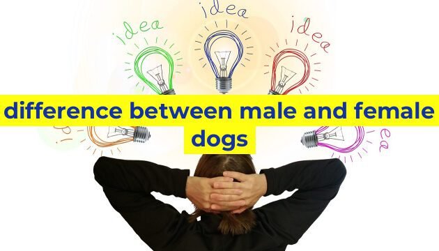 difference between male and female dogs