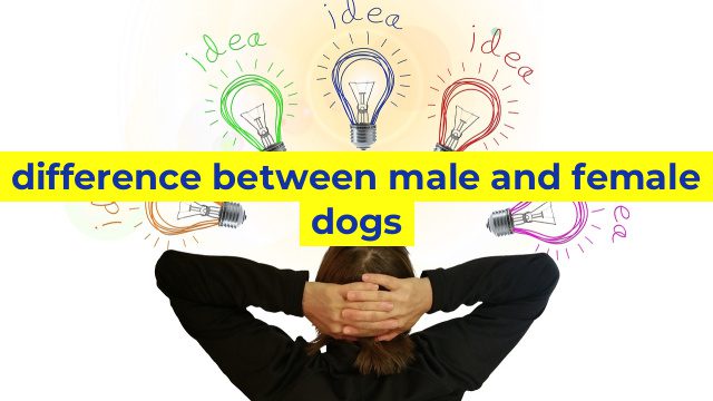 difference between male and female dogs