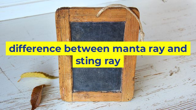 difference between manta ray and sting ray