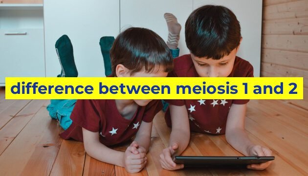 difference between meiosis 1 and 2
