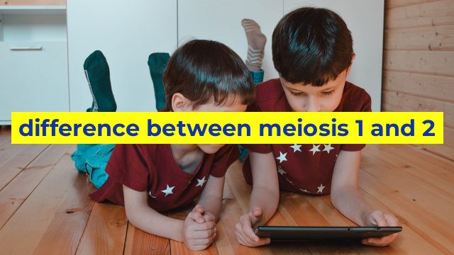 difference between meiosis 1 and 2