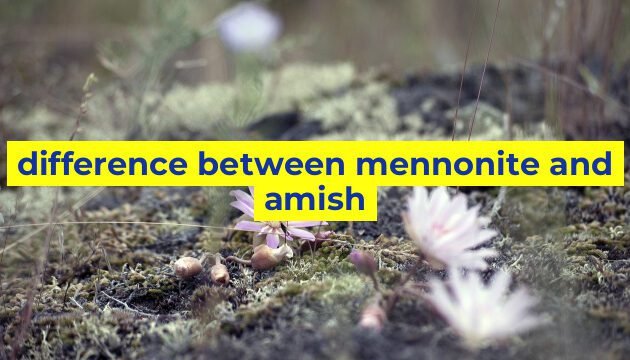 difference between mennonite and amish