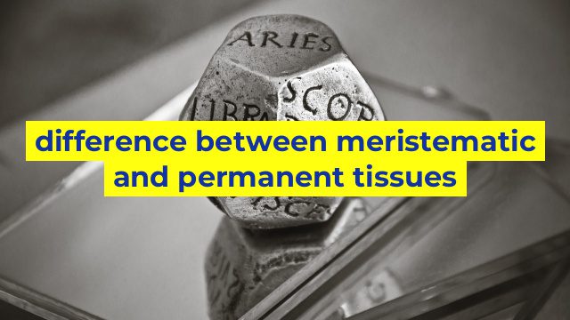difference between meristematic and permanent tissues