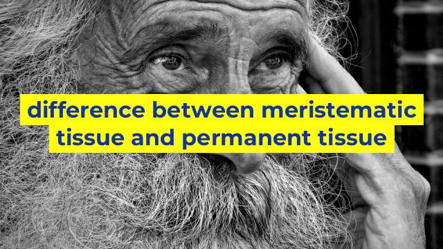 difference between meristematic tissue and permanent tissue