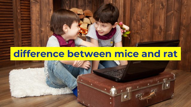 difference between mice and rat