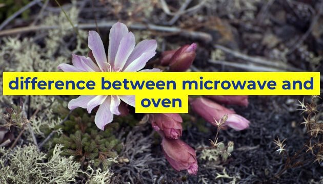 difference between microwave and oven