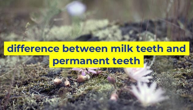 difference between milk teeth and permanent teeth