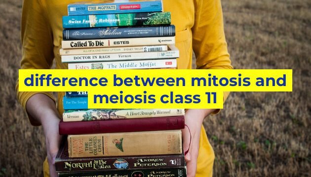 difference between mitosis and meiosis class 11