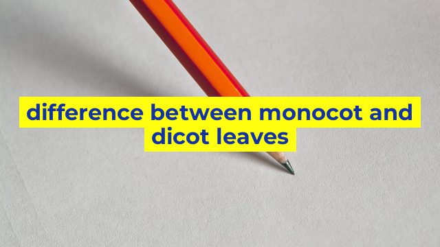 difference between monocot and dicot leaves