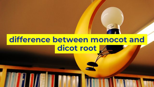 difference between monocot and dicot root