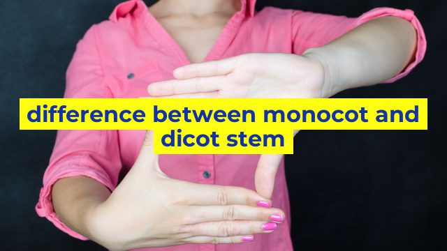 difference between monocot and dicot stem
