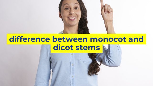 difference between monocot and dicot stems
